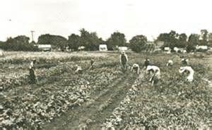 Reliefgarden.jpg