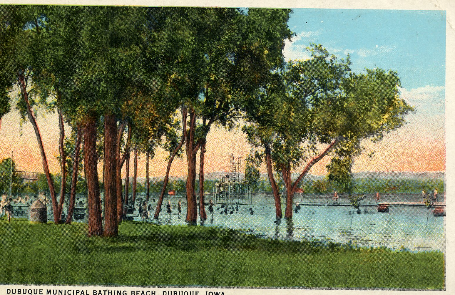 File:Swimmng.jpg
