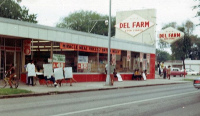 Delfarm.jpg