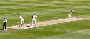 Cricket.jpg