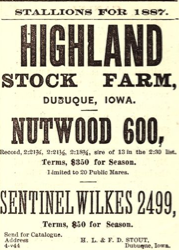 Nutwood.png
