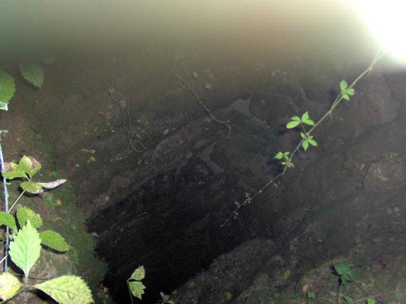 Thumbnail for version as of 20:52, 2 September 2009