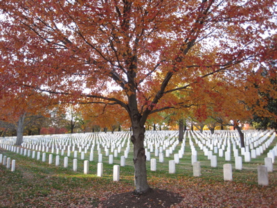 Thumbnail for version as of 16:44, 1 December 2011